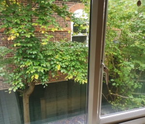 Little  Yews - bedroom 7