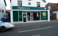 littleyews_18_20130112_1948017838
