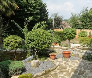 Littleyews-RearGardenA-Big