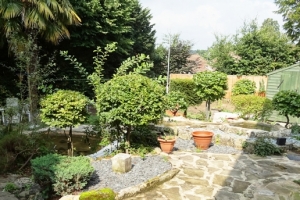 The Rear Garden